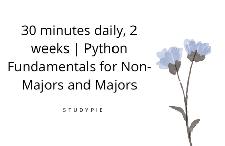 매일 30분, 2주 | 비전공자·문과생을 위한 파이썬 기초